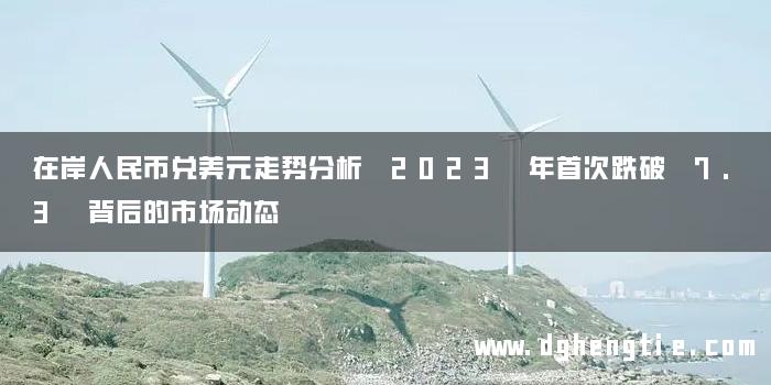 在岸人民币兑美元走势分析 2023 年首次跌破 7.3 背后的市场动态